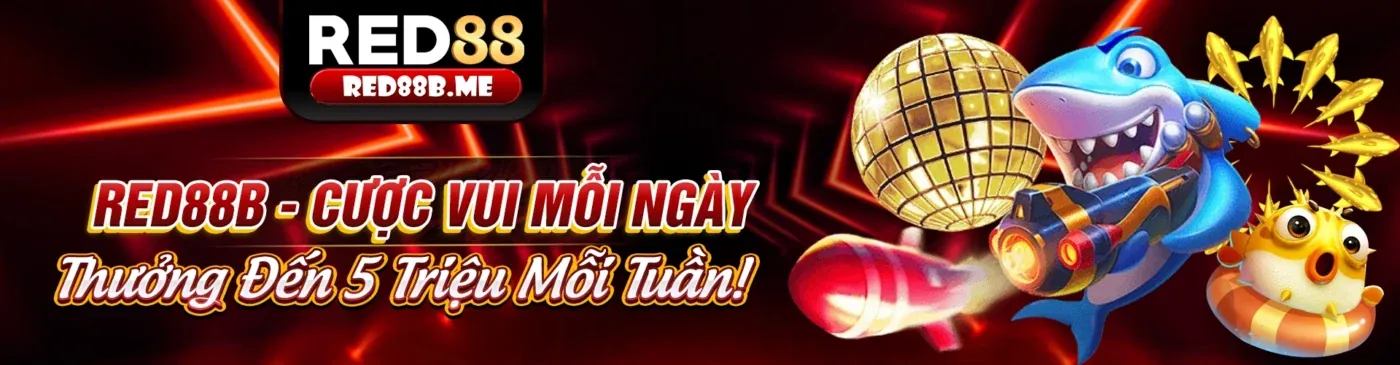 Hình ảnh minh họa GDPR và bảo vệ dữ liệu tại rikbet nhà cái