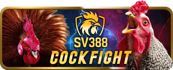 Hỗ trợ trực tuyến 24/7 qua Live Chat tại rikbet nhà cái